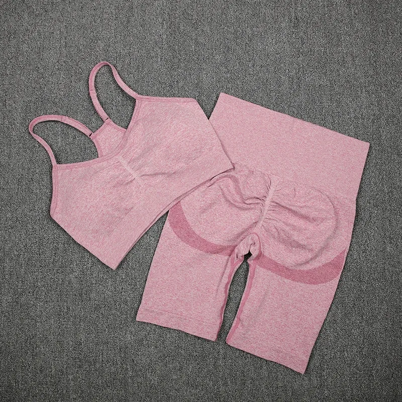 2-Piece Women's Sport Suit Gym Set