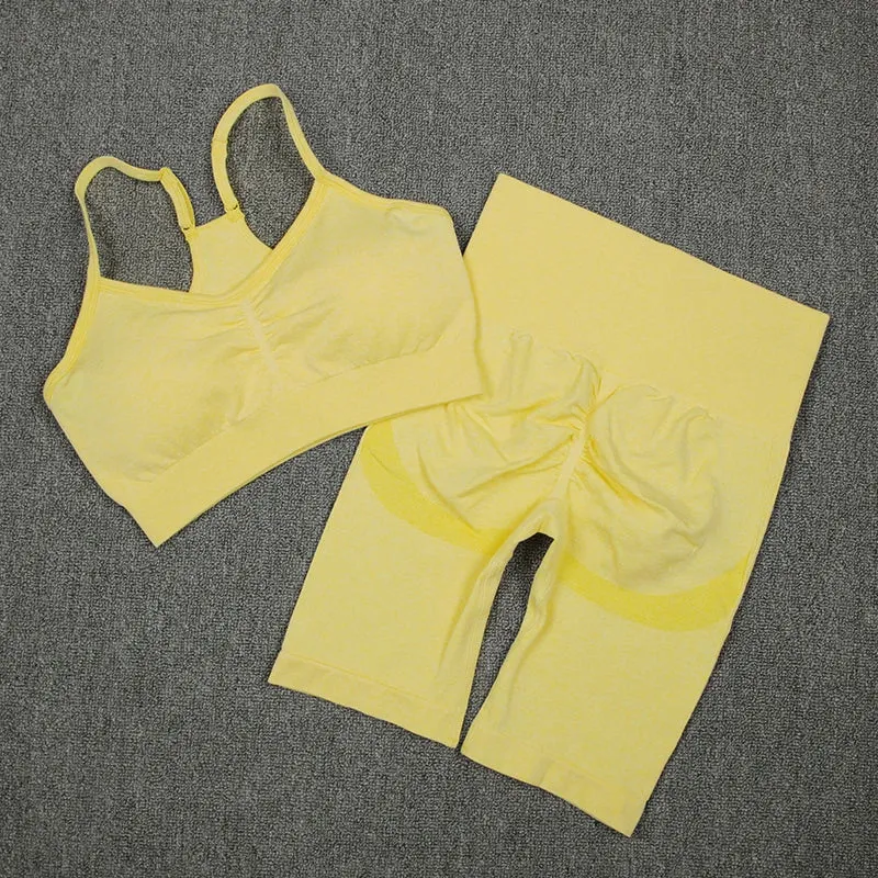 2-Piece Women's Sport Suit Gym Set