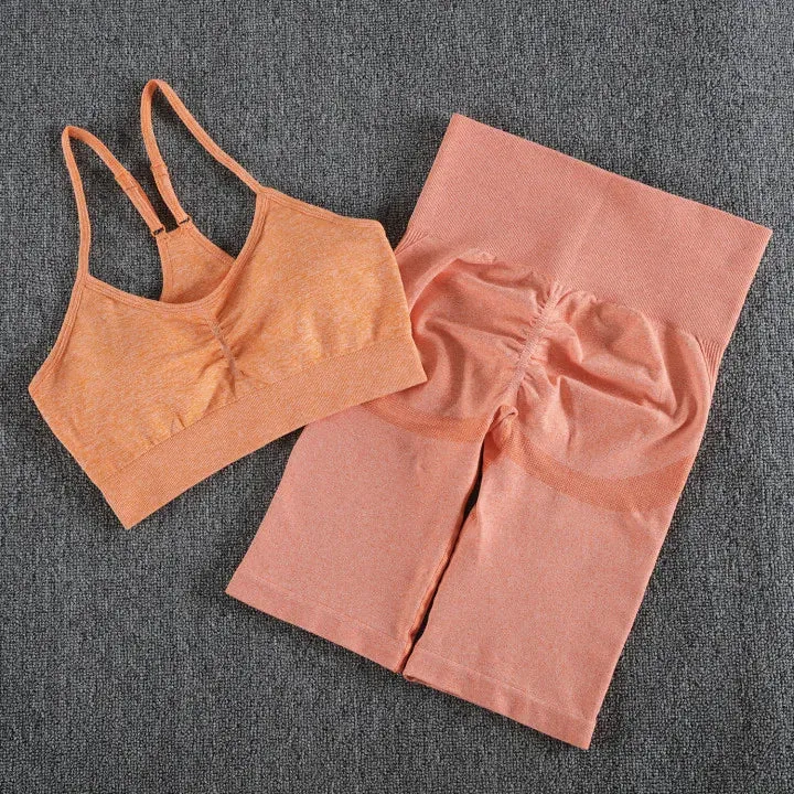 2-Piece Women's Sport Suit Gym Set