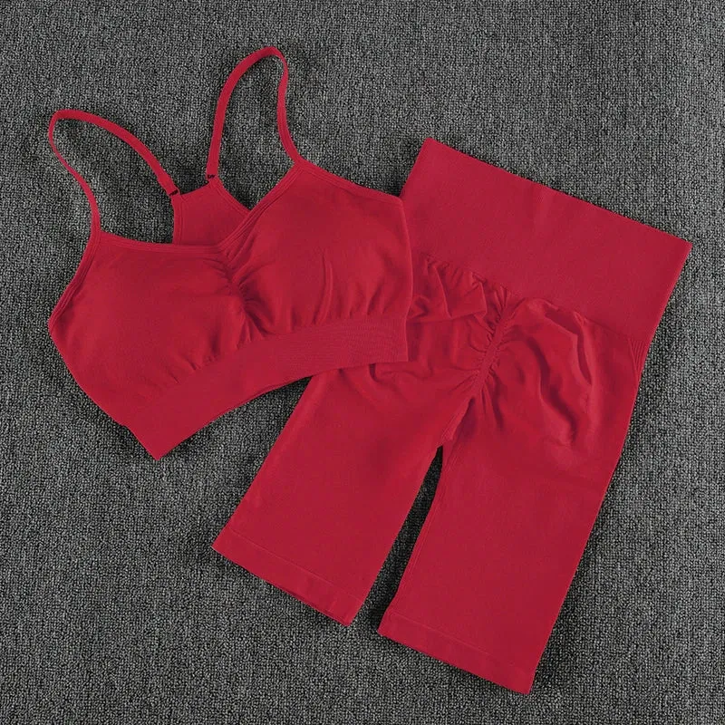2-Piece Women's Sport Suit Gym Set