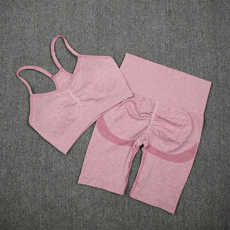 2-Piece Women's Sport Suit Gym Set