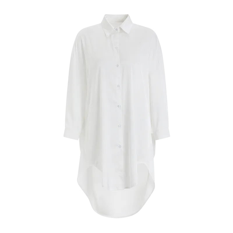 Boyfriend Button-Down Shirt Dress