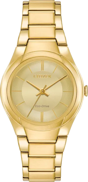 Citizen Eco Drive Paradigm Women's Watch FE2092-57P