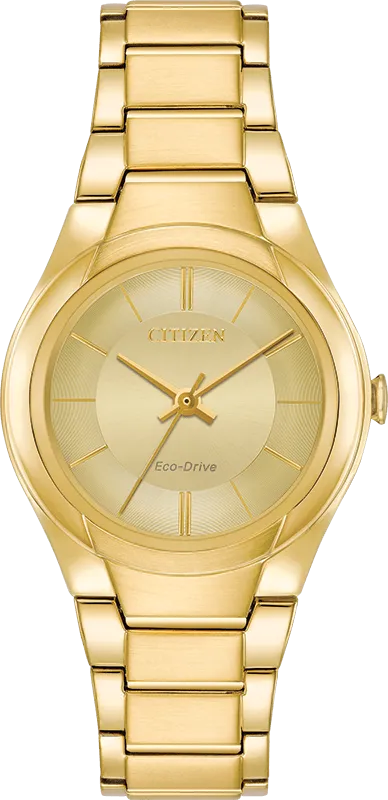 Citizen Eco Drive Paradigm Women's Watch FE2092-57P