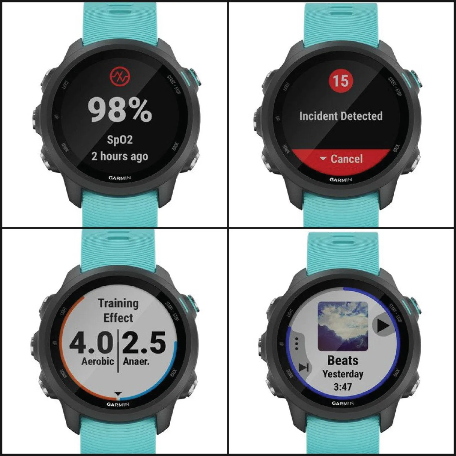Garmin Forerunner 245 Music Running SmartWatch