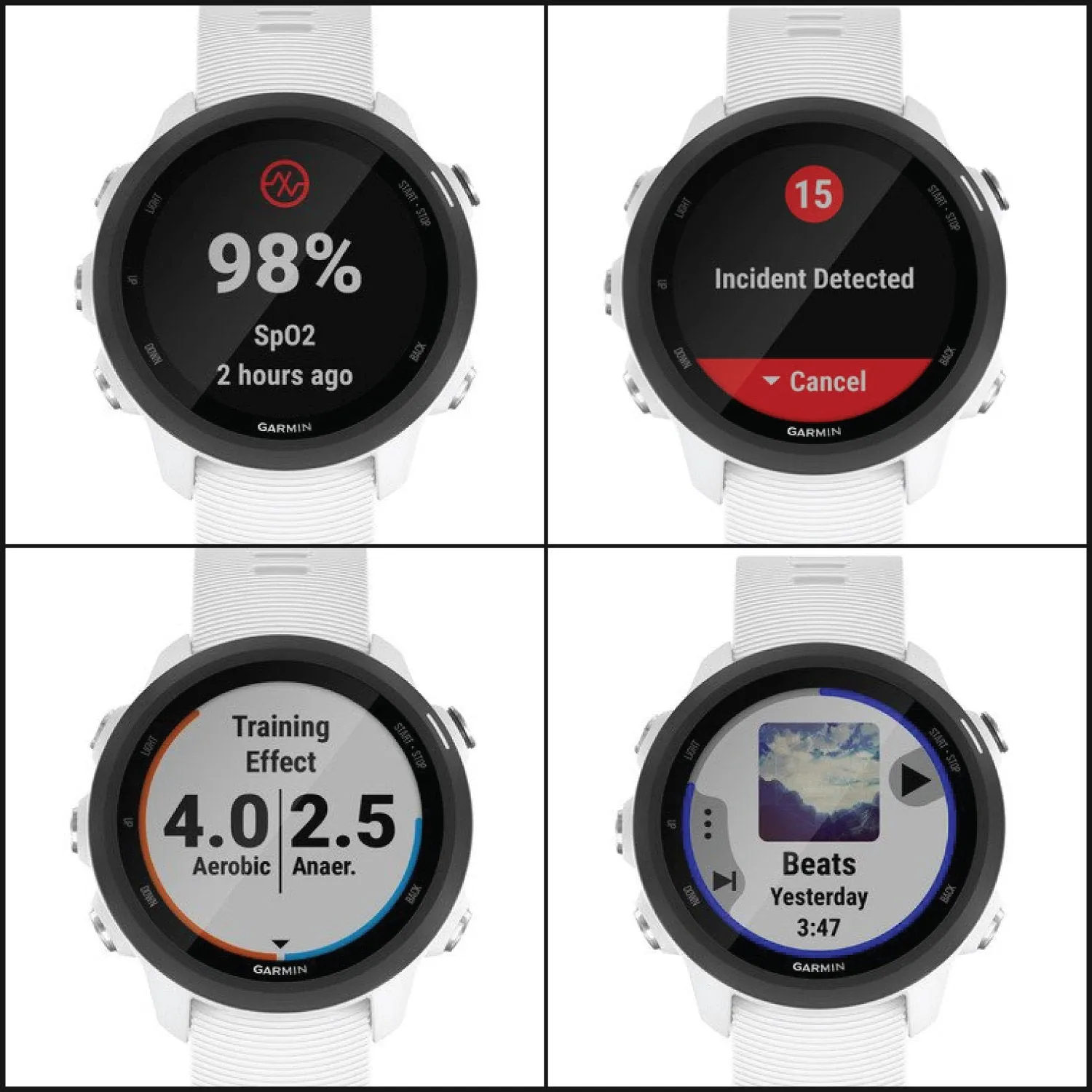 Garmin Forerunner 245 Music Running SmartWatch