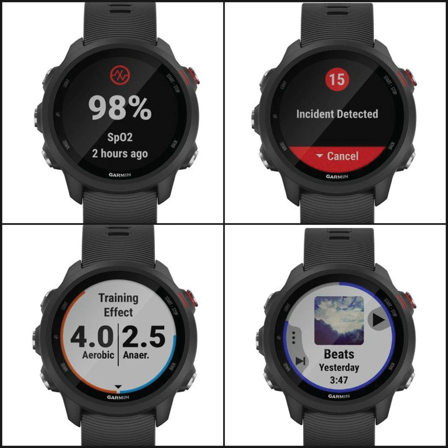 Garmin Forerunner 245 Music Running SmartWatch