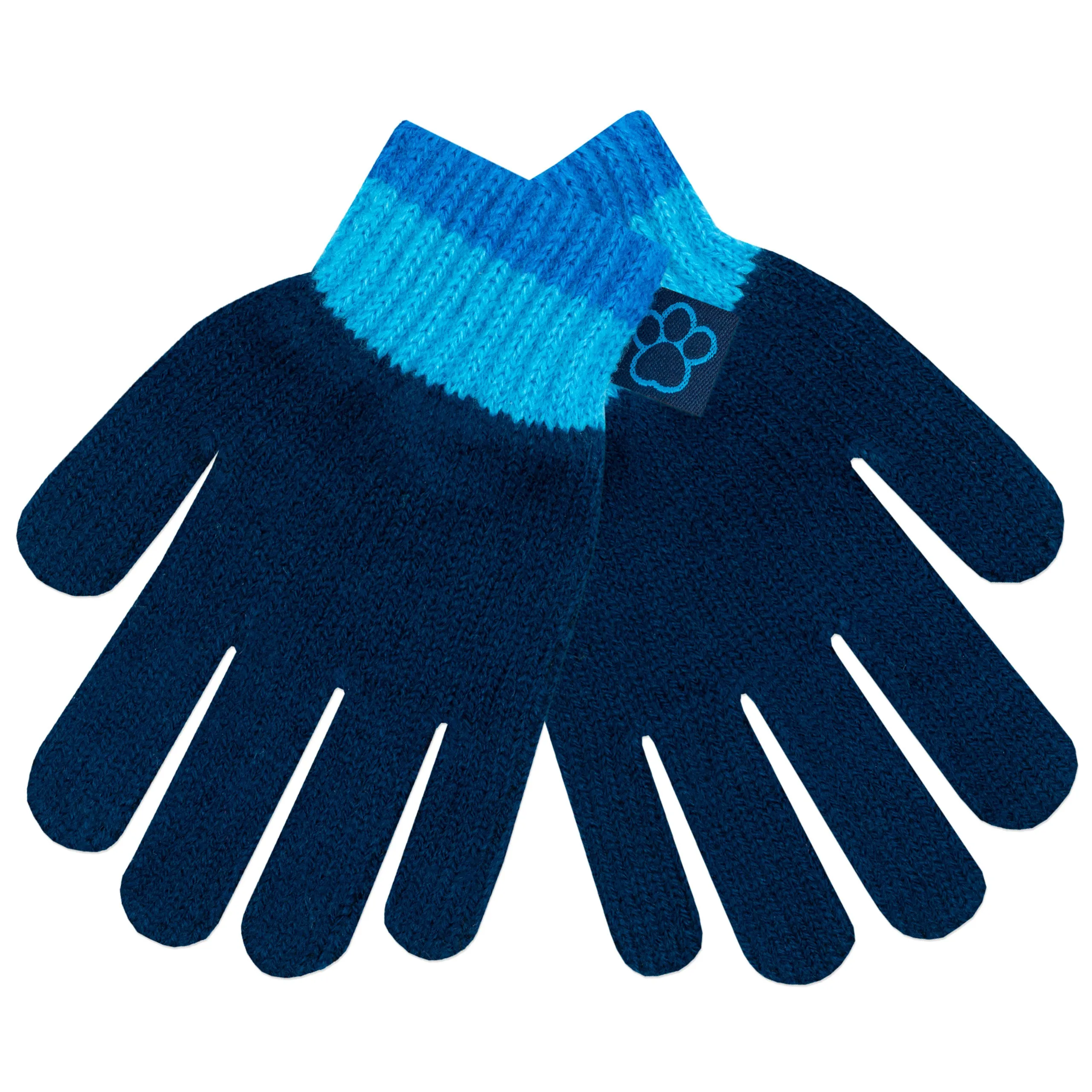 Kids Paw Patrol Winter Hat and Gloves Set