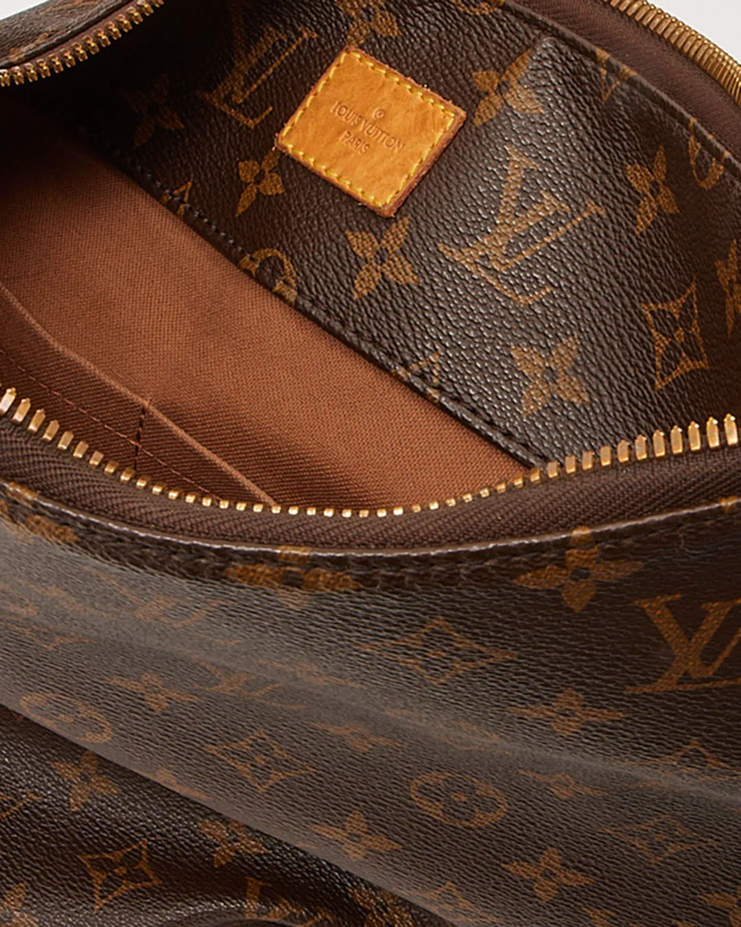 Louis Vuitton Monogram Canvas Delightful Zip PM Shoulder Bag