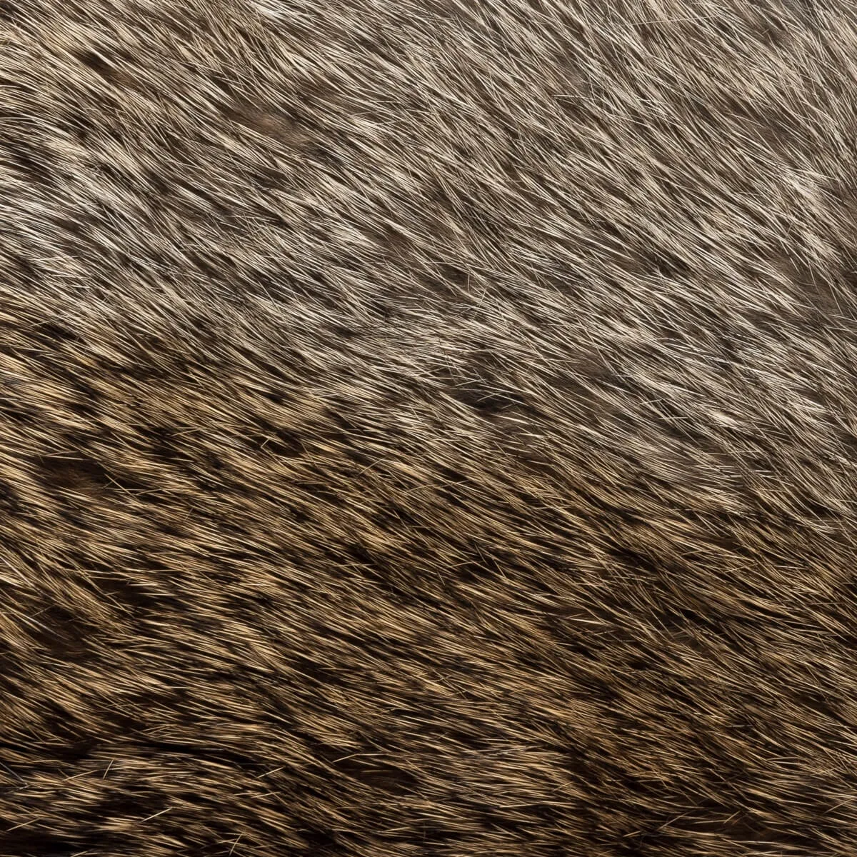Marco (black) - Italian lambskin leather gloves with brown rabbit fur lining