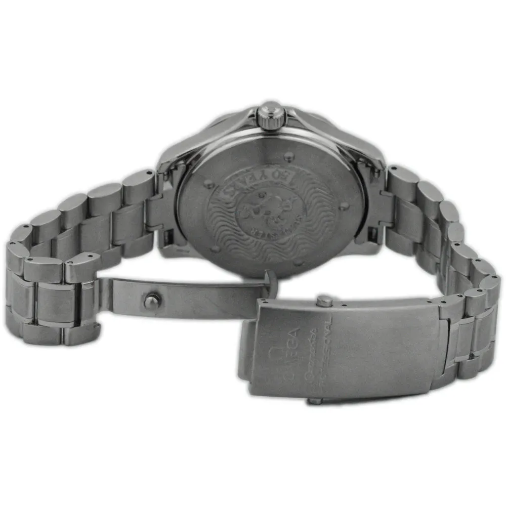 Omega Men's Seamaster GMT Stainless Steel 41mm Black Stick Dial Watch Reference #: 2234.50.00