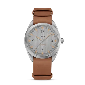 Railmaster Omega Co-Axial Master Chronometer 40 MM