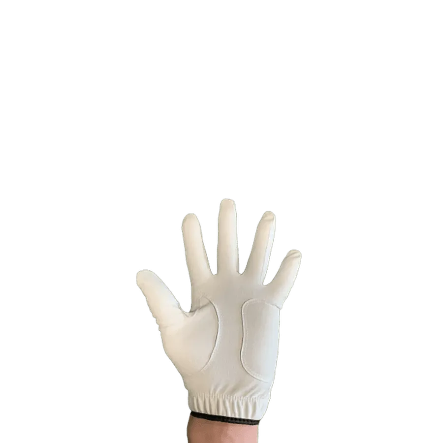 Six NS Leather Men's Tour Golf Gloves